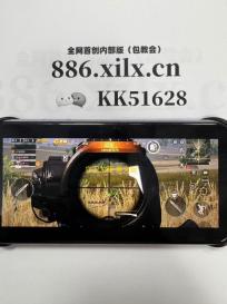 守卫龙蛋 英文版